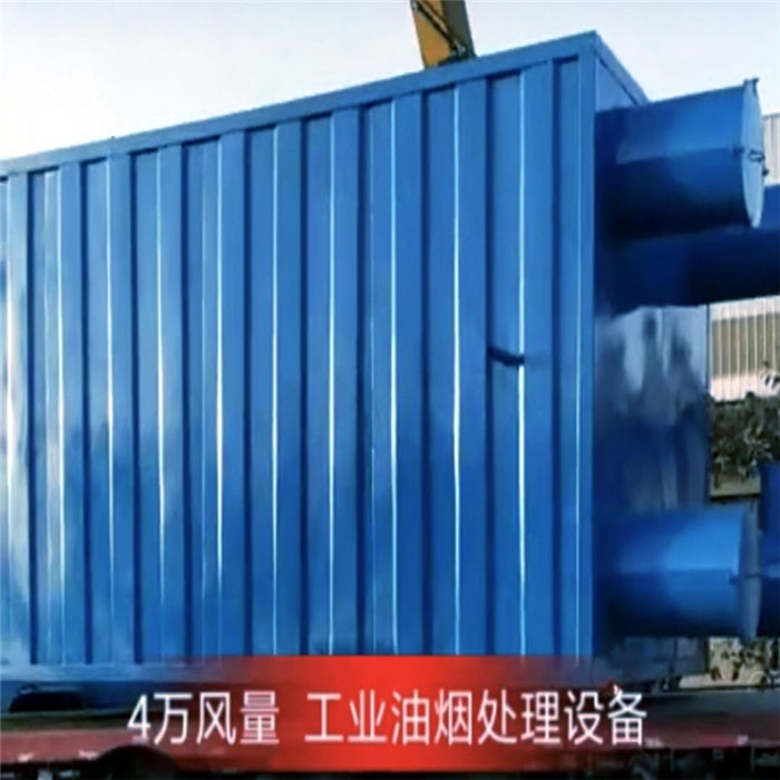 4萬風(fēng)量工業(yè)油煙處理設(shè)備，德佳環(huán)保